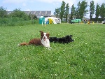 Cyanda en Tess